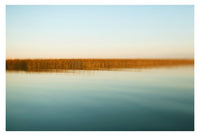 Sage - Fine Art Photograph