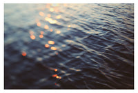 Copper Light - Fine Art Photograph