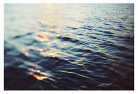 Summer Light - Fine Art Photograph