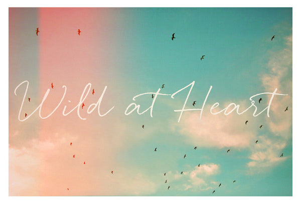 Wild At Heart - Fine Art Photograph