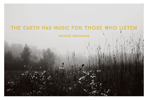 For Those Who Listen - Fine Art Photograph