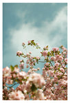 Saturday Sky #3 - Fine Art Photograph