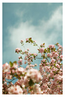 Saturday Sky #3 - Fine Art Photograph