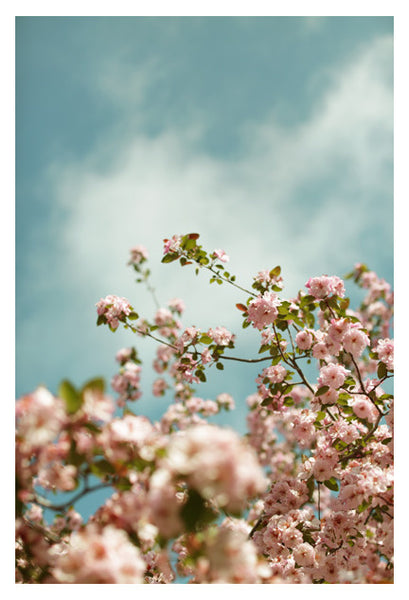 Saturday Sky #3 - Fine Art Photograph