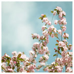 Saturday Sky #1 - Fine Art Photograph
