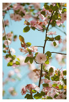 Saturday Sky #4 - Fine Art Photograph