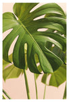 Verdure #1 - Fine Art Photograph