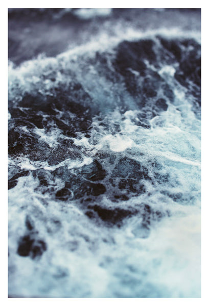 Plethora - Fine Art Photograph