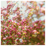 Rainbow Skies - Fine Art Photograph