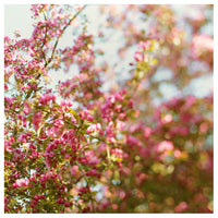 Rainbow Skies - Fine Art Photograph