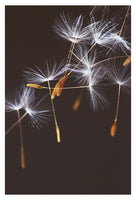 Flight Path - Fine Art Photograph