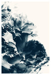 Blue Paeonia #8 - Fine Art Photograph