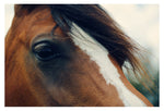 Eye - Fine Art Photograph