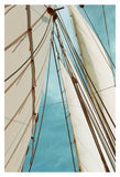Modern Fine Art Photograph - Catch The Wind