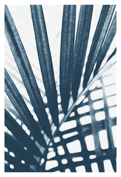 Blue Palm #3 - Fine Art Photograph