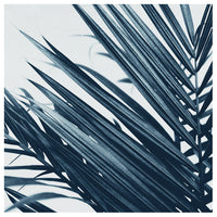 Blue Palm #2 -  Fine Art Photograph
