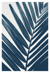 Blue Palm #1 - Fine Art Photograph