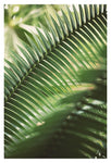 Green Space #1 - Fine Art Photograph