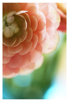 Light Side - Fine Art Photograph