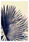Gray Bismarck #1 - Fine Art Photograph