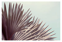 Gray Bismarck #2 - Fine Art Photograph