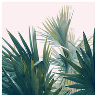 Reach For The Sky - Fine Art Photograph