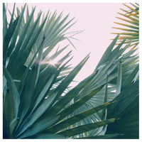 The One With The Light - Fine Art Photograph
