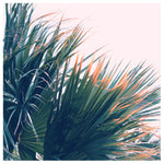 Fringe - Fine Art Photograph