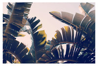 Flexibility - Fine Art Photograph