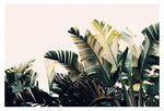 Paradise #4 - Fine Art Photograph
