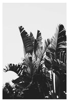 No. 6 - Fine Art Photograph