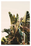 Equatorial - Fine Art Photograph