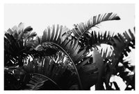 No. 7 - Fine Art Photograph
