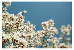 I Remember It Like This - Fine Art Photograph
