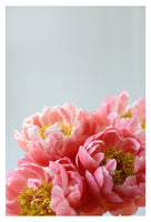 Madeline - Fine Art Photograph