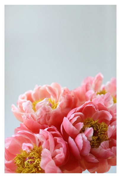 Madeline - Fine Art Photograph