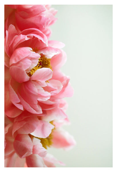 Mimi - Fine Art Photograph