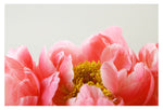 Malory - Fine Art Photograph