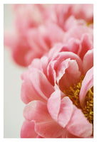 Myra - Fine Art Photograph