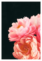 Haute Couture #2 - Fine Art Photograph