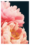 Haute Couture #1 - Fine Art Photograph