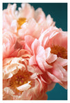 Margot - Fine Art Photograph