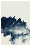 Blue Paeonia #4 -  Fine Art Photograph