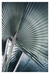 Blue Bismarck #1 - Fine Art Photograph