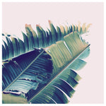 Frayed - Fine Art Photograph
