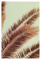 Impression #1 - Fine Art Photograph