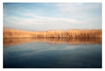 Chronicle - Fine Art Photograph