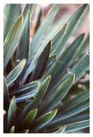 September Morning - Fine Art Photograph