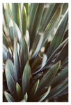 September Light - Fine Art Photograph