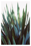 September Glow - Fine Art Photograph
